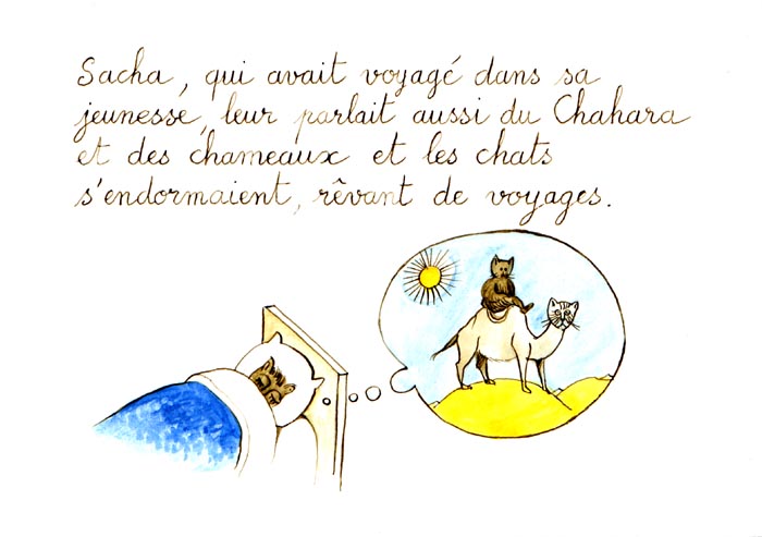 page6.jpg (52854 octets)
