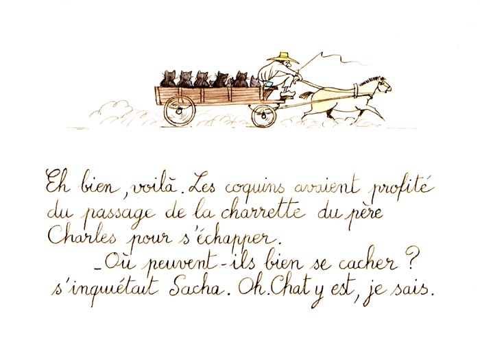 page8.jpg (55065 octets)