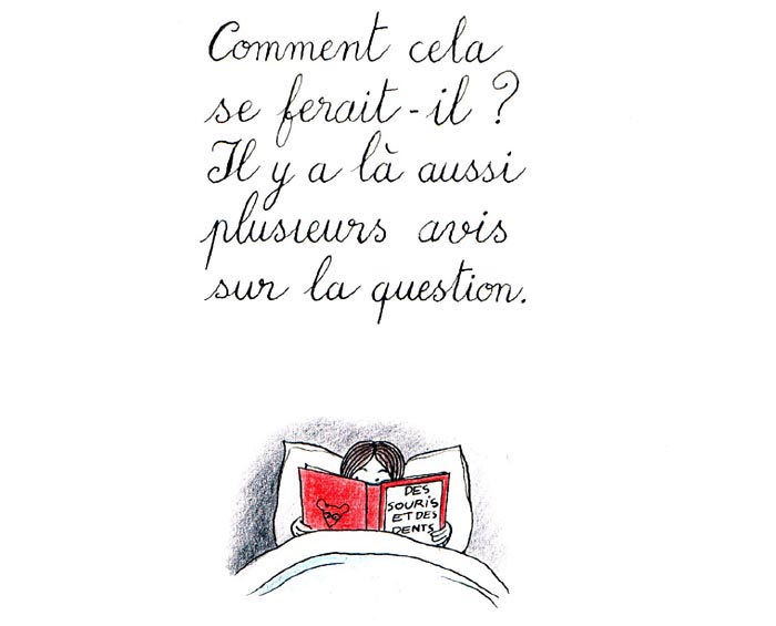 souris16.jpg (44152 octets)
